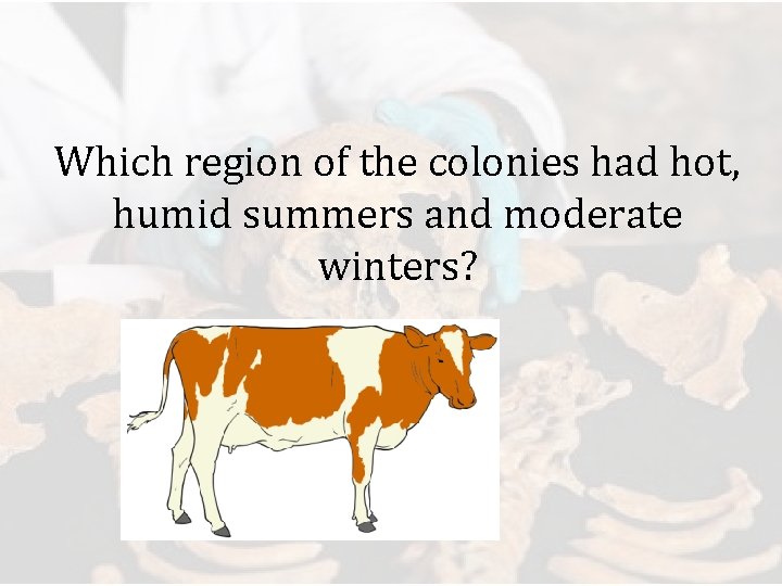 Which region of the colonies had hot, humid summers and moderate winters? 
