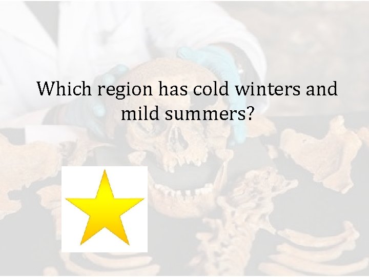 Which region has cold winters and mild summers? 