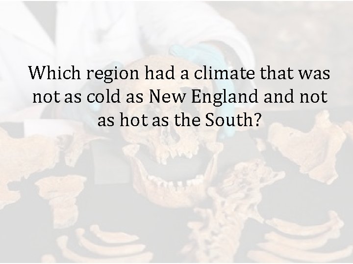Which region had a climate that was not as cold as New England not