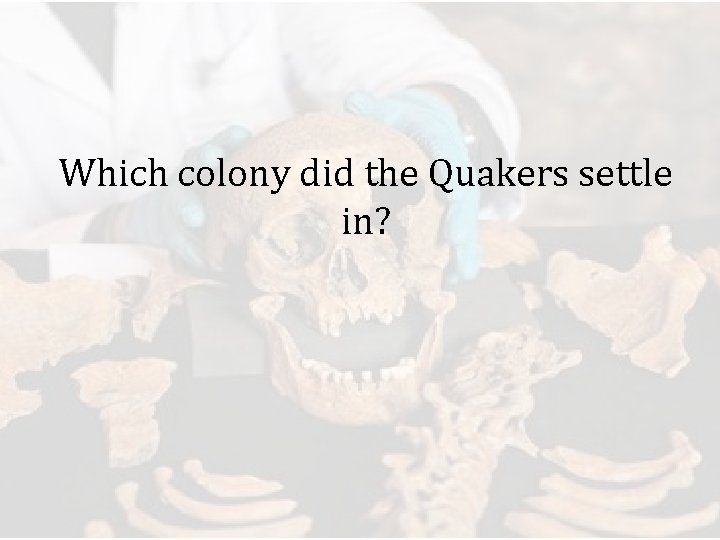 Which colony did the Quakers settle in? 