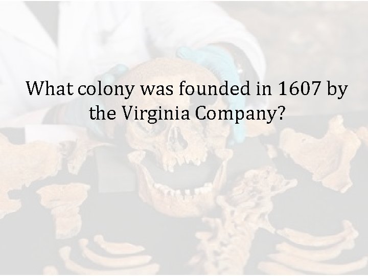 What colony was founded in 1607 by the Virginia Company? 