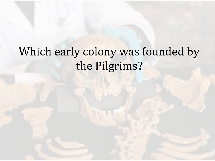 Which early colony was founded by the Pilgrims? 