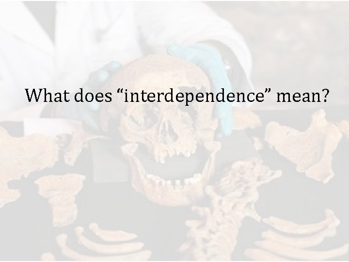 What does “interdependence” mean? 