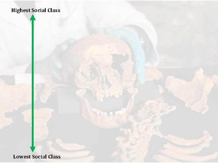 Highest Social Class Lowest Social Class 