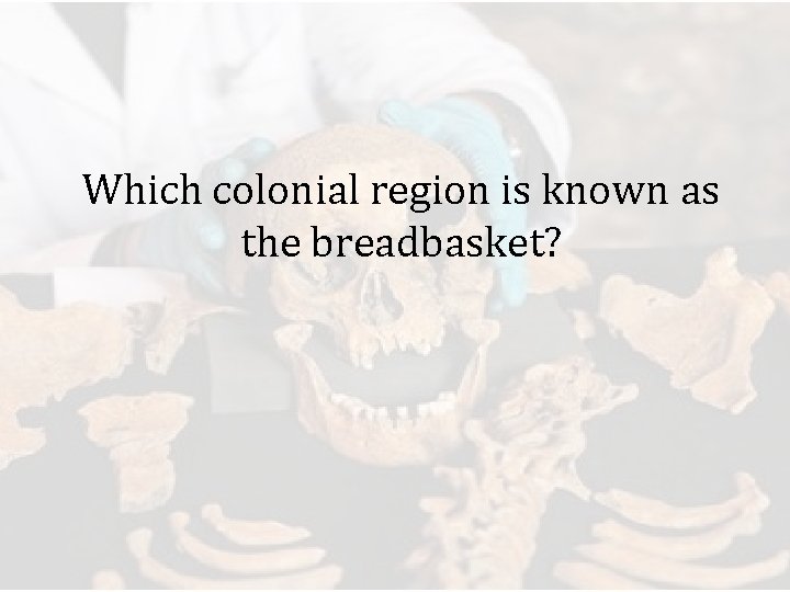 Which colonial region is known as the breadbasket? 