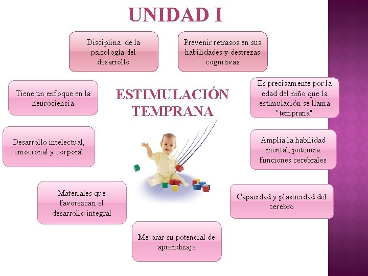 UNIDAD I Disciplina de la psicología del desarrollo Tiene un enfoque en la neurociencia UNIDAD I Disciplina de la psicología del desarrollo Tiene un enfoque en la neurociencia