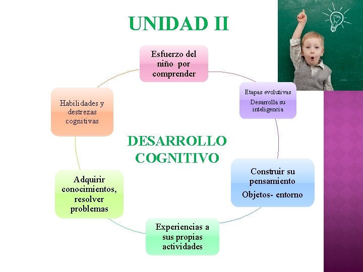 UNIDAD II Esfuerzo del niño por comprender Etapas evolutivas Desarrolla su inteligencia Habilidades y UNIDAD II Esfuerzo del niño por comprender Etapas evolutivas Desarrolla su inteligencia Habilidades y