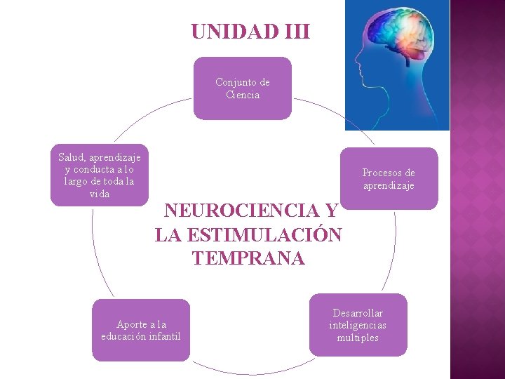 UNIDAD III Conjunto de Ciencia Salud, aprendizaje y conducta a lo largo de toda UNIDAD III Conjunto de Ciencia Salud, aprendizaje y conducta a lo largo de toda
