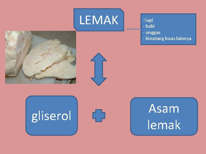 LEMAK gliserol -Sapi - babi - unggas - binatang buas lainnya Asam lemak 