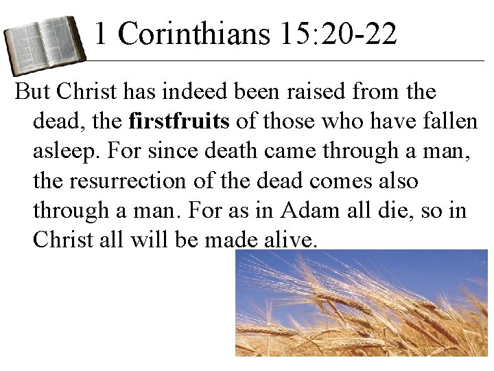 1 Corinthians 15: 20 -22 But Christ has indeed been raised from the dead, 1 Corinthians 15: 20 -22 But Christ has indeed been raised from the dead,
