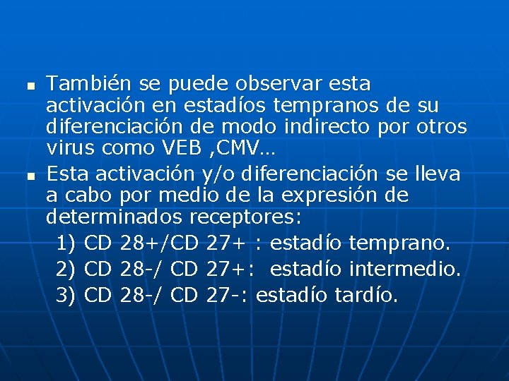 n n También se puede observar esta activación en estadíos tempranos de su diferenciación