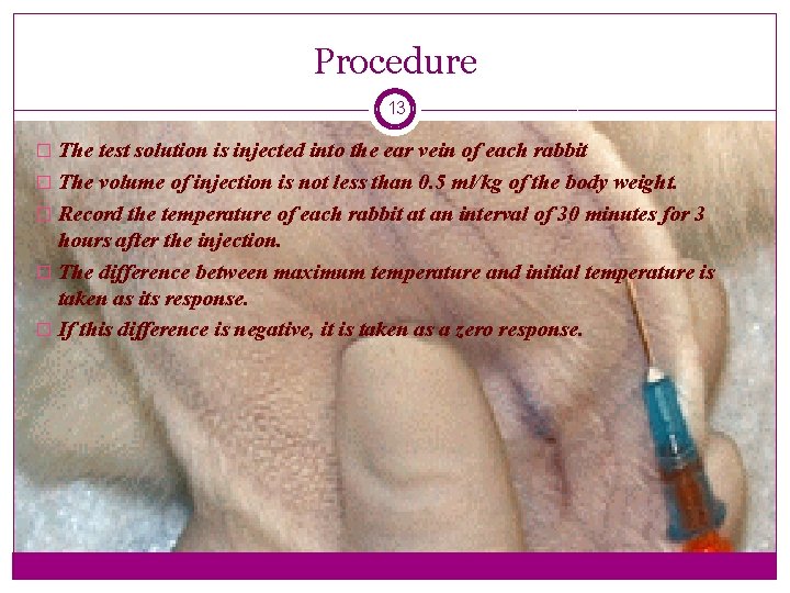 Procedure 13 � The test solution is injected into the ear vein of each