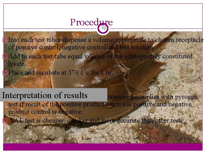 Procedure 19 � Into each test tubes dispense a volume appropriate to chosen receptacle