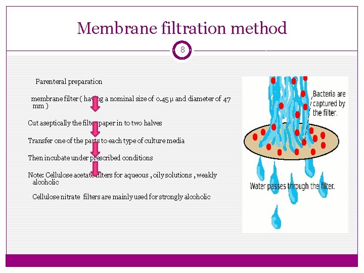 Membrane filtration method 8 Parenteral preparation membrane filter ( having a nominal size of