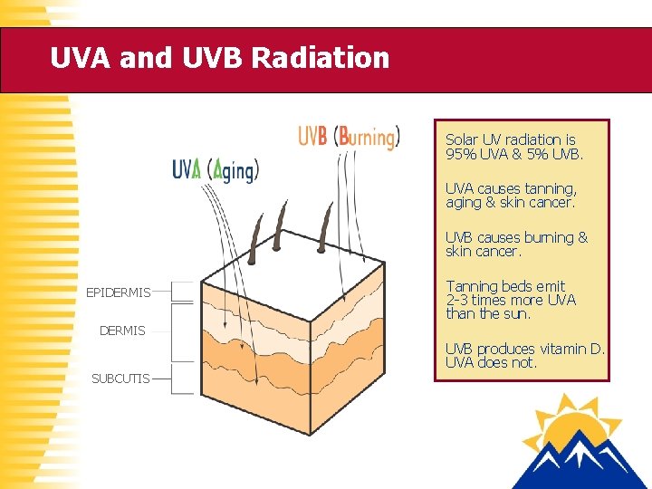 UVA and UVB Radiation Solar UV radiation is 95% UVA & 5% UVB. UVA