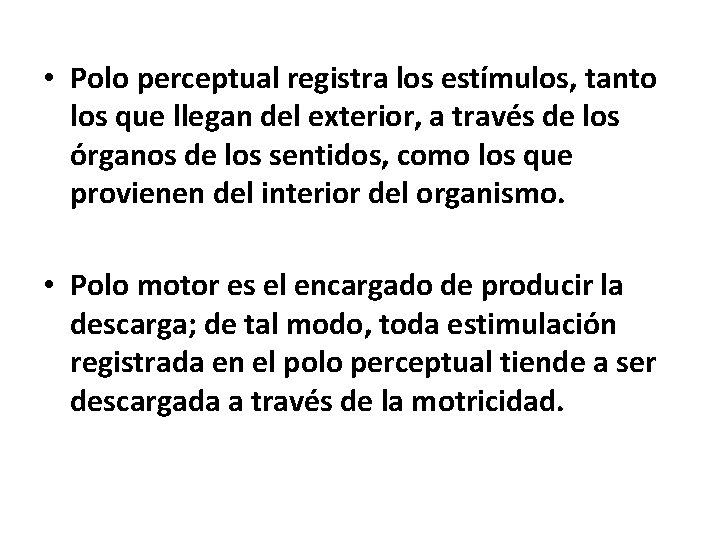  • Polo perceptual registra los estímulos, tanto los que llegan del exterior, a