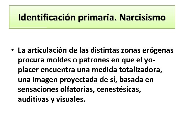 Identificación primaria. Narcisismo • La articulación de las distintas zonas erógenas procura moldes o