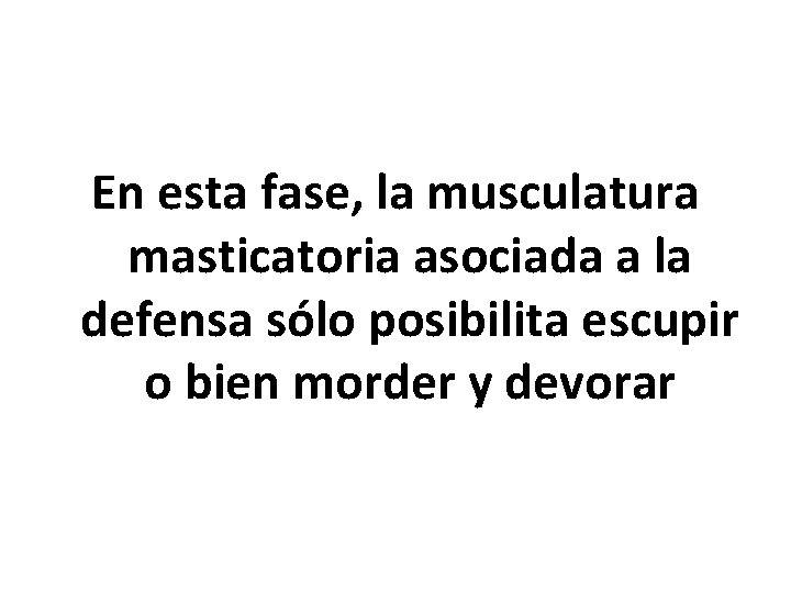 En esta fase, la musculatura masticatoria asociada a la defensa sólo posibilita escupir o