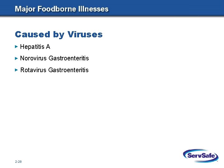 Caused by Viruses Hepatitis A Norovirus Gastroenteritis Rotavirus Gastroenteritis 2 -28 