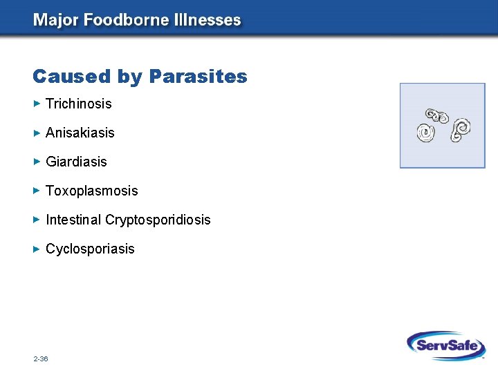 Caused by Parasites Trichinosis Anisakiasis Giardiasis Toxoplasmosis Intestinal Cryptosporidiosis Cyclosporiasis 2 -36 