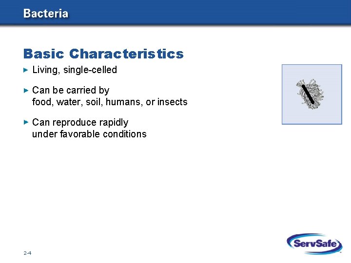 Basic Characteristics Living, single-celled Can be carried by food, water, soil, humans, or insects