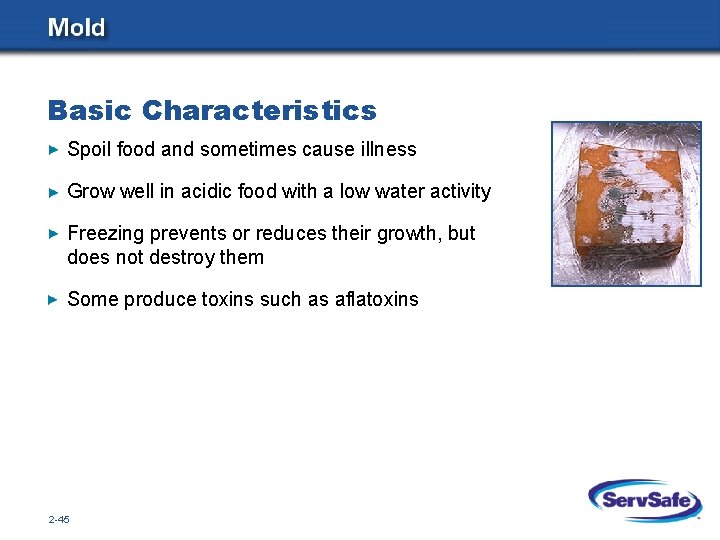 Basic Characteristics Spoil food and sometimes cause illness Grow well in acidic food with