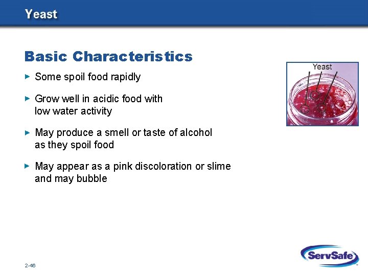 Basic Characteristics Some spoil food rapidly Grow well in acidic food with low water