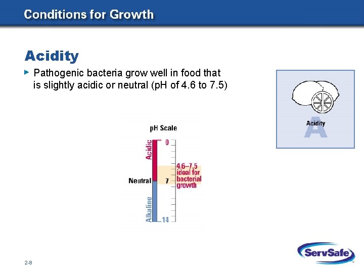 Acidity Pathogenic bacteria grow well in food that is slightly acidic or neutral (p.