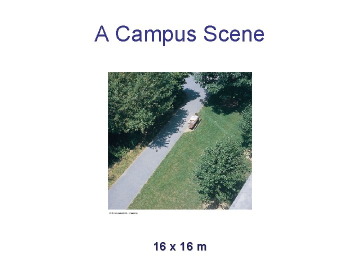 A Campus Scene 16 x 16 m 