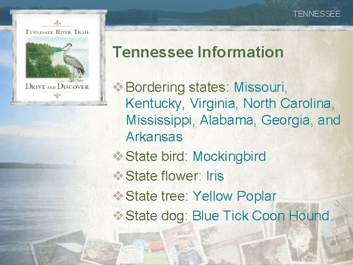 TENNESSEE Tennessee Information v Bordering states: Missouri, Kentucky, Virginia, North Carolina, Mississippi, Alabama, Georgia,