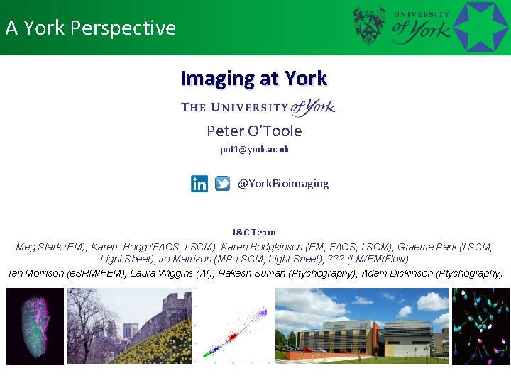 A York Perspective Imaging at York Peter O’Toole pot 1@york. ac. uk @York. Bioimaging