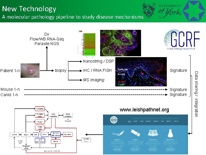 New Technology A molecular pathology pipeline to study disease mechanisms Dx Flow/WB RNA-Seq Parasite