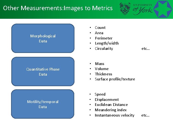 Other Measurements: Images to Metrics • • • Count Area Perimeter Length/width Circularity Quantitative