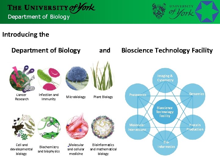 Department of Biology Introducing the Department of Biology and Bioscience Technology Facility Imaging &