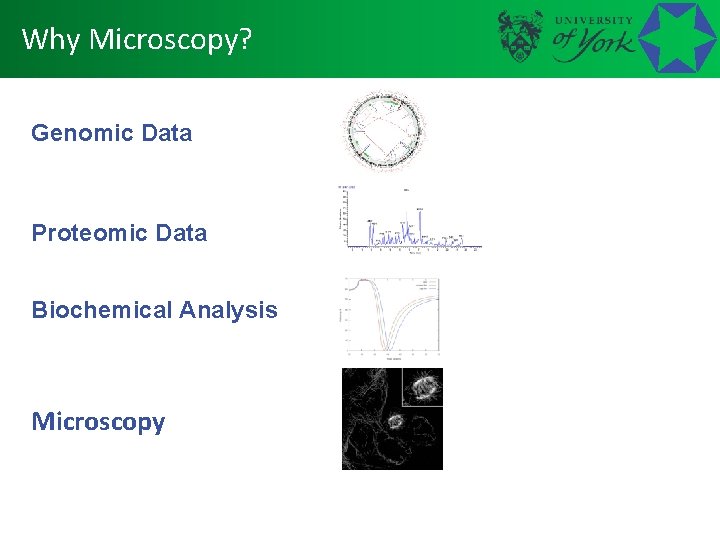Why Microscopy? Genomic Data Proteomic Data Biochemical Analysis Microscopy 