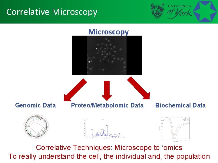 Correlative Microscopy Genomic Data Proteo/Metabolomic Data Biochemical Data Correlative Techniques: Microscope to ‘omics To