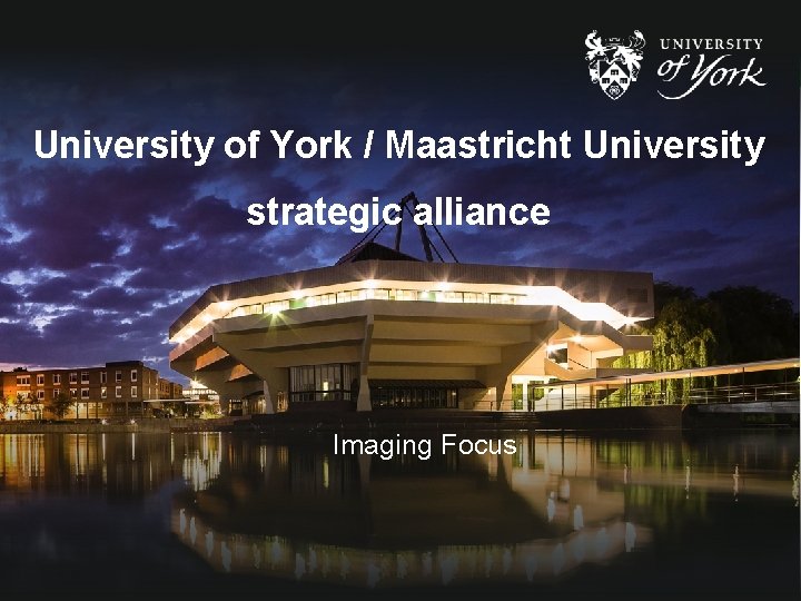 University of York / Maastricht University strategic alliance Imaging Focus 