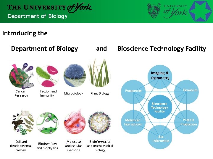 Department of Biology Introducing the Department of Biology and Bioscience Technology Facility Imaging &