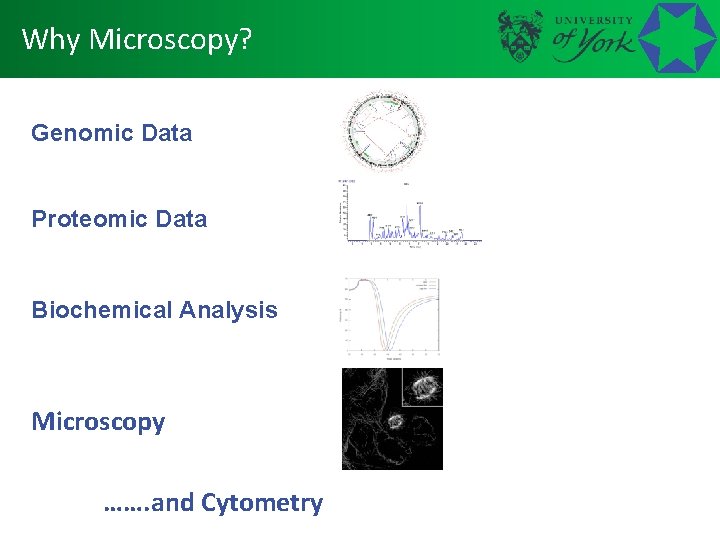 Why Microscopy? Genomic Data Proteomic Data Biochemical Analysis Microscopy ……. and Cytometry 