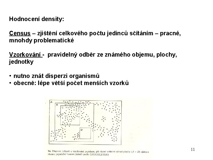 Hodnocení density: Census – zjištění celkového počtu jedinců sčítáním – pracné, mnohdy problematické Vzorkování