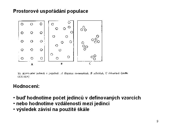 Prostorové uspořádání populace Hodnocení: • buď hodnotíme počet jedinců v definovaných vzorcích • nebo