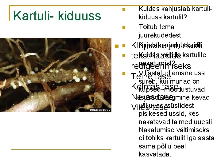 n Kartuli- kiduuss n n Klõpsake juhtslaidi teksti laadide redigeerimiseks Teine tase Kolmas tase