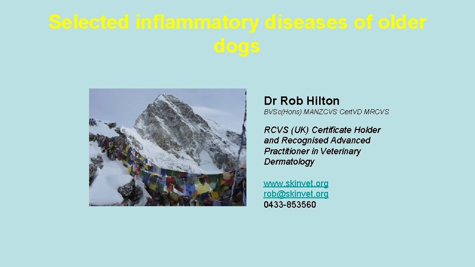 Selected inflammatory diseases of older dogs Dr Rob Hilton BVSc(Hons) MANZCVS Cert. VD MRCVS