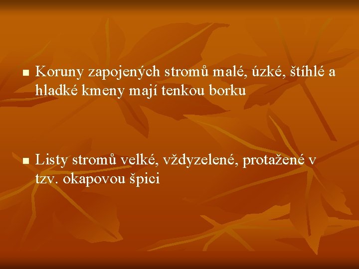 n n Koruny zapojených stromů malé, úzké, štíhlé a hladké kmeny mají tenkou borku