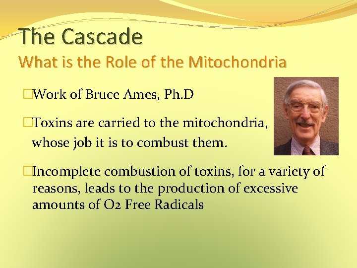 The Cascade What is the Role of the Mitochondria �Work of Bruce Ames, Ph. The Cascade What is the Role of the Mitochondria �Work of Bruce Ames, Ph.