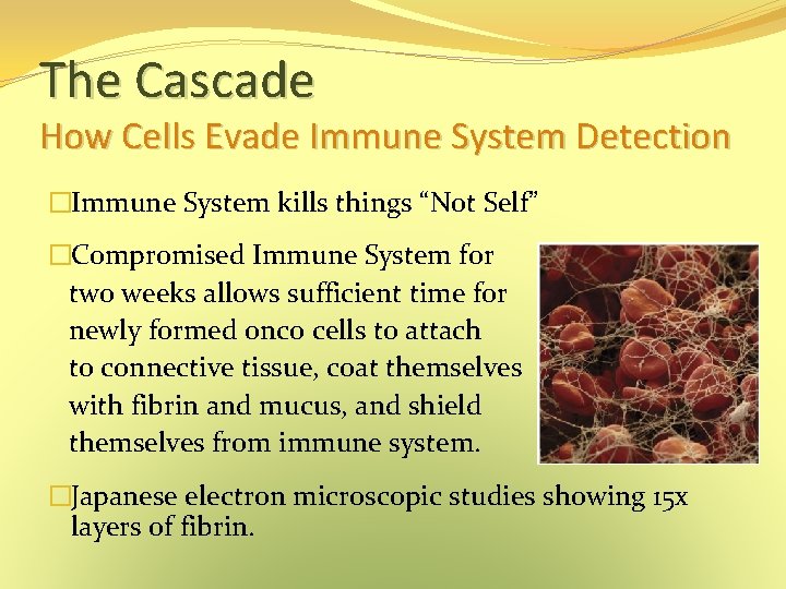 The Cascade How Cells Evade Immune System Detection �Immune System kills things “Not Self” The Cascade How Cells Evade Immune System Detection �Immune System kills things “Not Self”