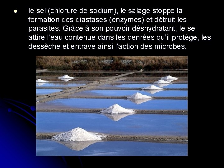 l le sel (chlorure de sodium), le salage stoppe la formation des diastases (enzymes)