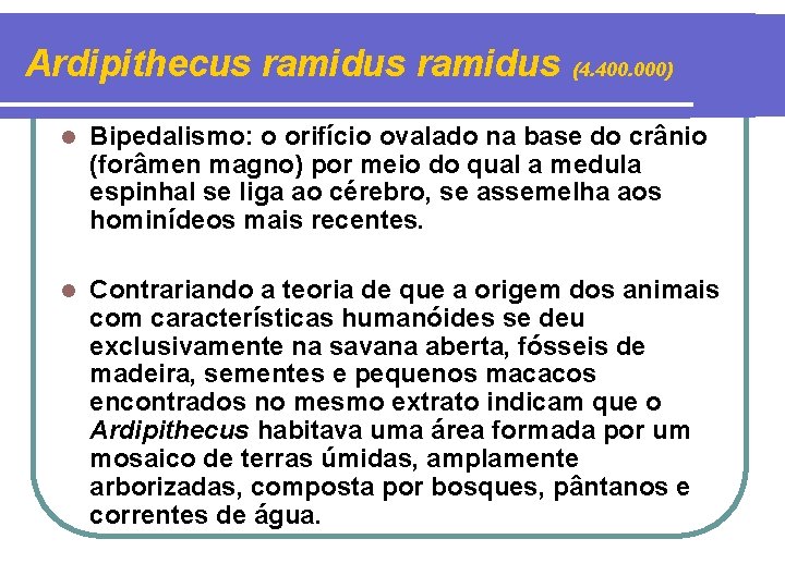 Ardipithecus ramidus (4. 400. 000) l Bipedalismo: o orifício ovalado na base do crânio