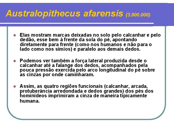 Australopithecus afarensis (3. 900. 000) l Elas mostram marcas deixadas no solo pelo calcanhar