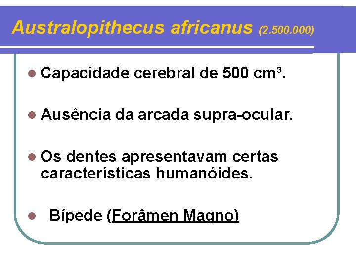 Australopithecus africanus (2. 500. 000) l Capacidade l Ausência cerebral de 500 cm³. da